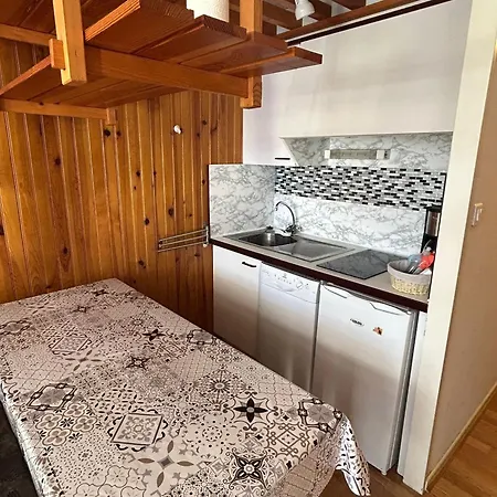 Montagnard Au Coeur De Avec Parking Prive - Fr-1-814-128 *