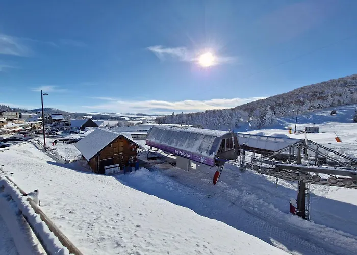 Montagne Au Pied Des Pistes Avec Parking - Fr-1-814-128